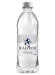Radnor Sparkling Water - 24 x 500ml bottle